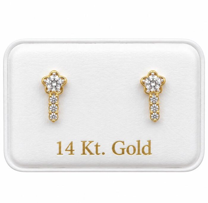 Aretes 14K A